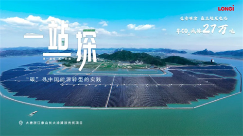 震撼！63.7萬(wàn)塊隆基組件建起灘涂上的鋼鐵森林