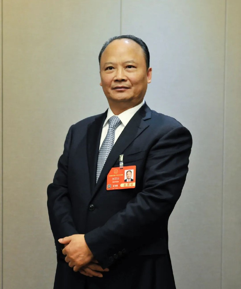 全國人大代表劉漢元：建議擴大國內光伏裝機，推進(jìn) “3060” 目標達成